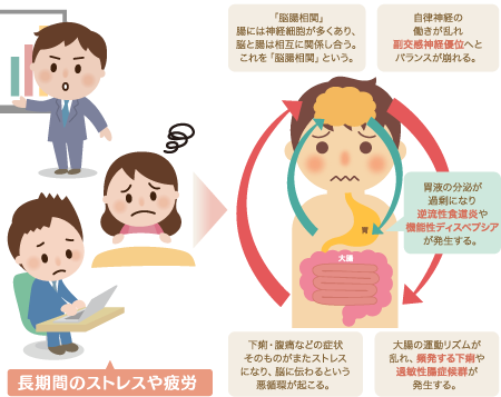 機能性ディスペプシアの原因である自律神経の乱れについて解説する医師のイラスト