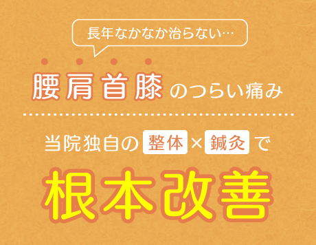 【腰痛・ヘルニア専門】宇和島市・西予市で改善実績多数！長引く腰痛の根本原因を改善します