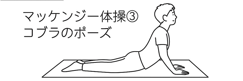 マッケンジー体操の第三段階:手のひらで床を押し上半身を高く上げるコブラのポーズ