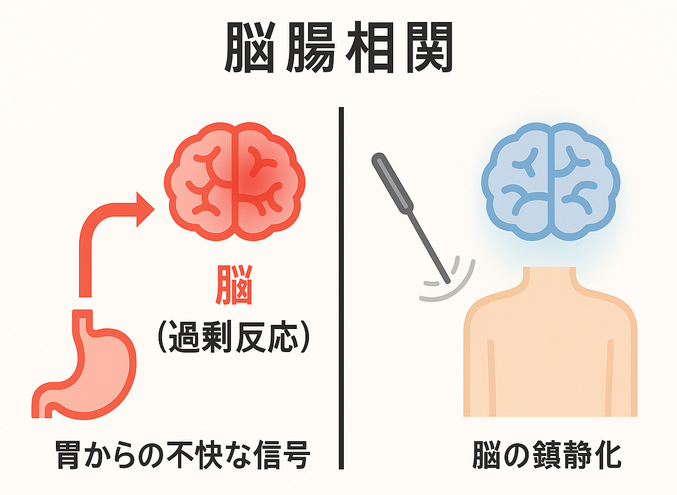 脳腸相関へのアプローチで機能性ディスペプシアの知覚過敏を改善するイメージ