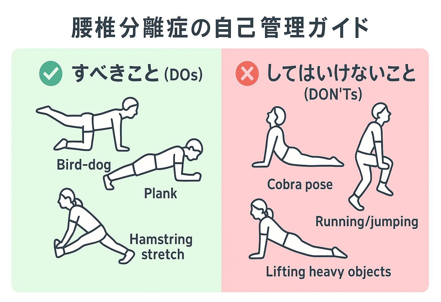 腰椎分離症の自己管理ガイド。推奨される運動（バードドッグ、プランクなど）と、避けるべき動作（腰を反らす、高衝撃性の運動など）をイラストで分かりやすく解説。