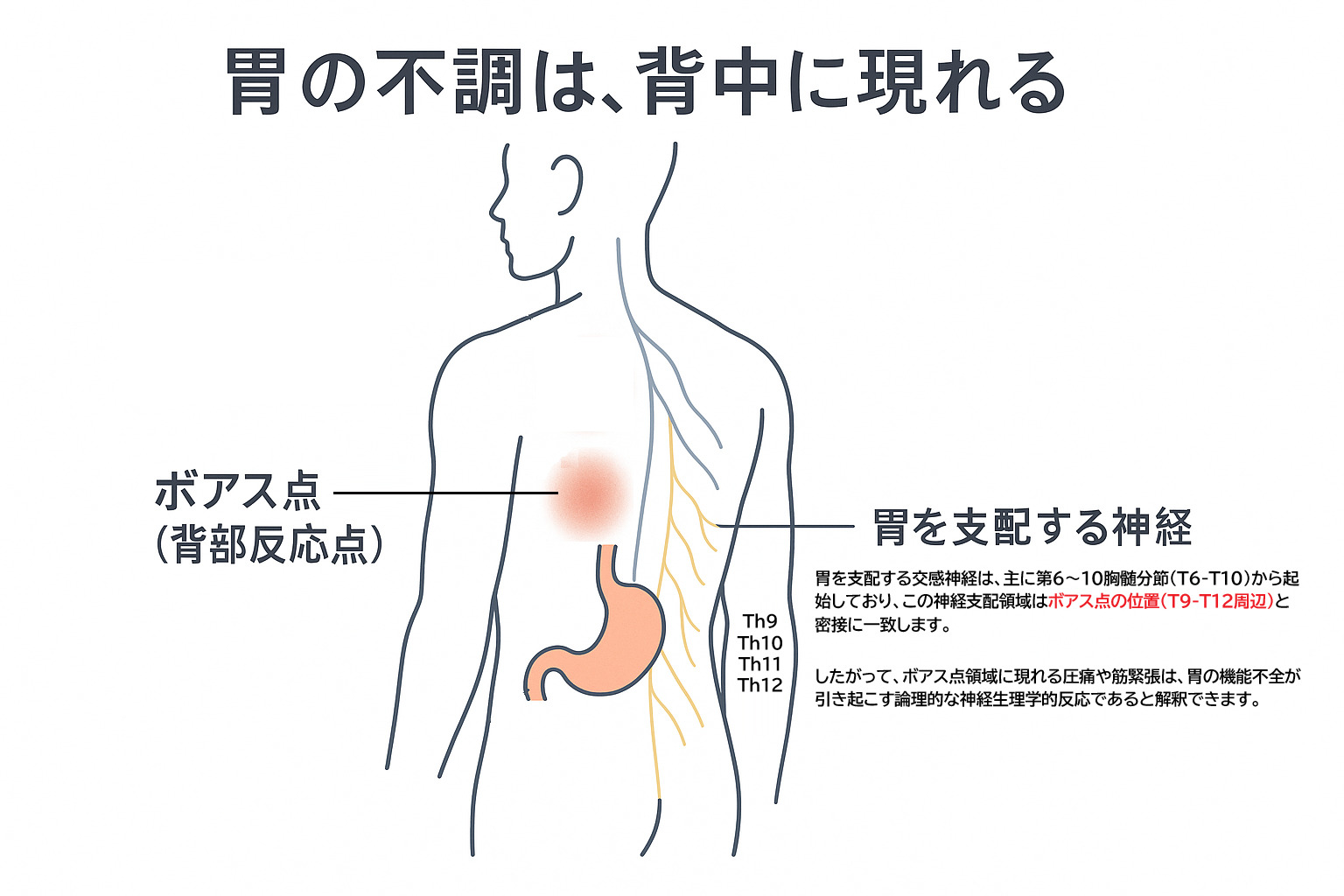 宇和島市の当院が行う胃の不調（機能性ディスペプシア）に対する背中のツボ施術図解